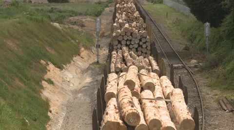 Lumber train rear Stock Footage 938781