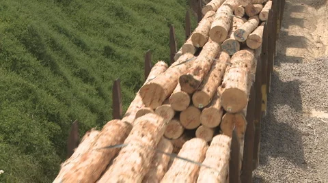 Lumber train wagons   Stock Footage 938696