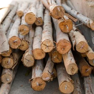 Lumber wood piled together Stock Photos