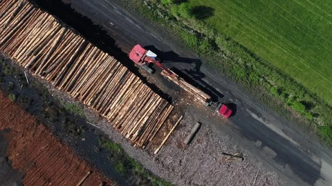 Lumber yard Stock Footage 90950295