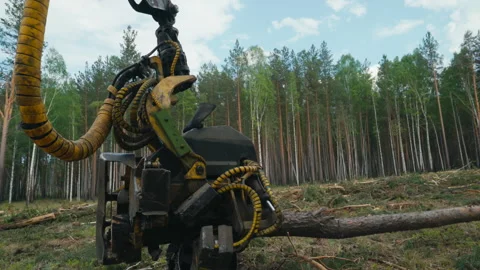A Lumbering machine is putting the cut t... | Stock Video | Pond5