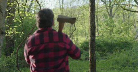 Lumberjack about to cut down tree Stock Footage 148164448