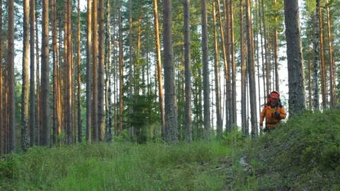 Lumberjack After Work in the Forest with an Axe Stock Footage 91257359