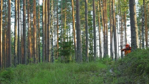 Lumberjack After Work in the Forest with Chainsaw Stock Footage 91257637