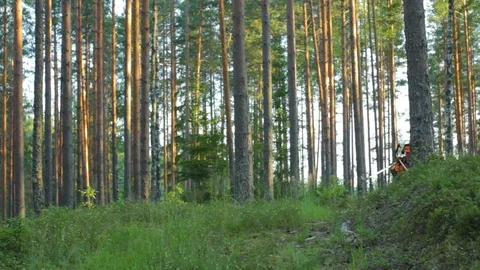 Lumberjack After Work in the Forest with Tree Trimmer Stock Footage 91257946