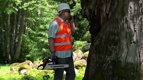 Lumberjack with chainsaw talking on smarth phone near the old tree Vidéo 64764447