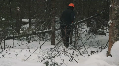 Lumberjack with Chainsaw Walking into Woods. Stock Footage 59786903