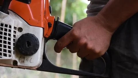 Lumberjack with Chainsaw, Woodcutter Using Chainsaw, Forestry Worker Cutting Stock Footage 300997128