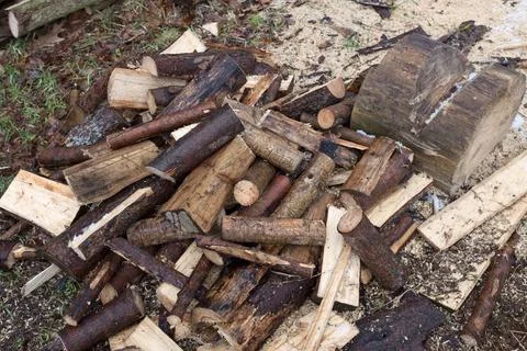 Lumberjack chopped the tree trunks Stock Photos