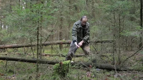 Lumberjack is chopping dry fallen tree 動画素材 75471961