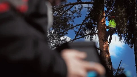 A lumberjack chopping a tree in the foreground in the defocus of the male hand Stock Footage 97410563