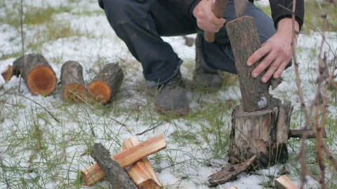 Lumberjack chopping wood. Stock Footage 99906624