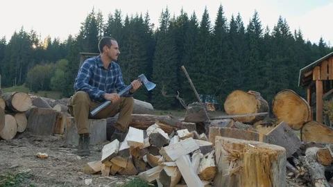 Lumberjack chopping wood Stock Footage 120744752