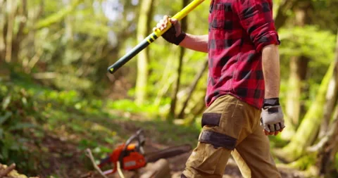 Lumberjack chopping wood for winter Stock Footage 154437089
