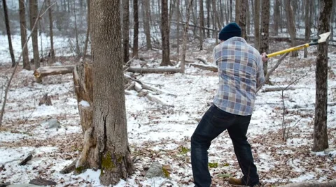 Lumberjack Chops Tree with Axe in Long Shot Video stock 58132527