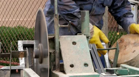 Lumberjack at the circular saw cutting of logs for firewood, close up. Stock Footage 55877917