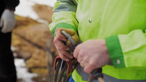 Lumberjack connects the system for Felling the tree together Stock Footage 97408384