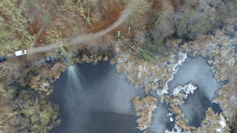Lumberjack cuts down tree next to frozen lake aerial Stock Footage 278364407