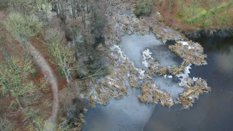 Lumberjack cuts down tree over frozen lake aerial Video stock 278364414