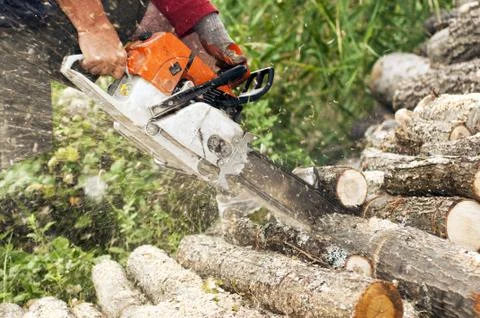 Lumberjack cuts the trunk Stock-Fotos
