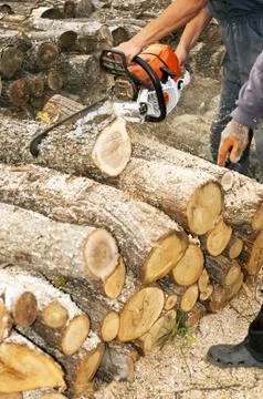 Lumberjack cuts the trunk Stock-Fotos