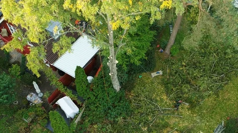 Lumberjack cutting down tree drone footage by DroneRune 2 Stock Footage 126655409