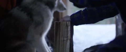 Lumberjack cutting a firewood Stock Footage 68496070