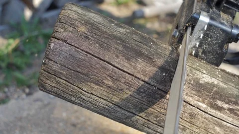 Lumberjack Cutting Log of Wood with Chainsaw Blade Slow Motion Stock Footage 106998917