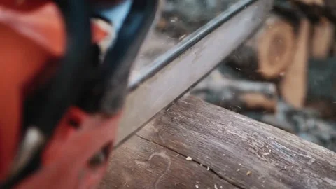 Lumberjack is cutting a tree with a chainsaw Man using chainsaw to cut tree Stockbeeldmateriaal 336569903