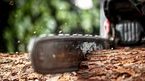 Lumberjack is cutting a tree with a chainsaw Man using chainsaw to cut tree Видео 336570309