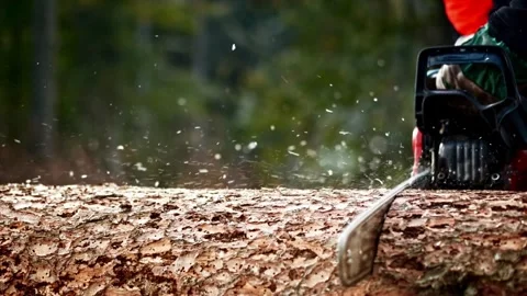 Lumberjack cutting tree deforestation and firewood harvesting. soft focus Stock Footage 336570320