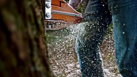 Lumberjack cutting tree deforestation and firewood harvesting. soft focus Видео 336570464