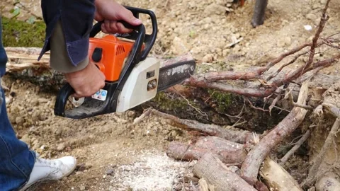 Lumberjack cutting tree deforestation and firewood harvesting. soft focus Видео 336570695