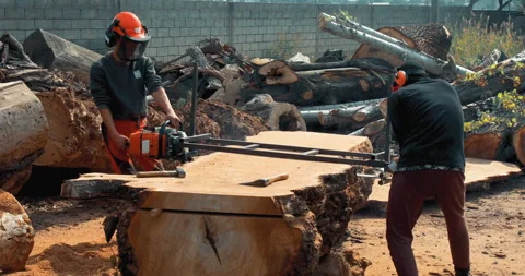 Lumberjack cutting tree trunk with giant chainsaw to make wooden planks Stock Footage 162629046