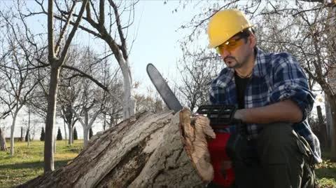 Lumberjack Stock Footage 24658318