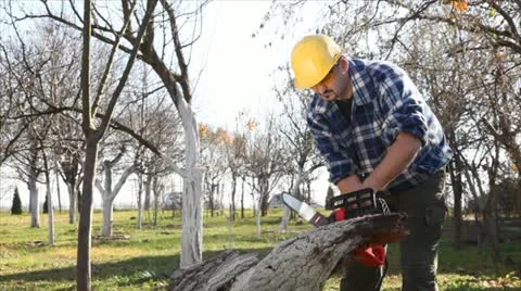 Lumberjack Stock Footage 24658362