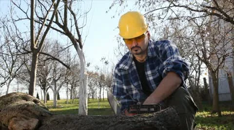 Lumberjack Video stock 24658370