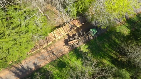 Lumberjack in forest. Stock Footage 132011132