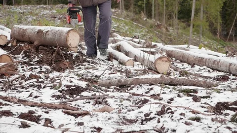 Lumberjack goes to work 스톡 동영상 119068216