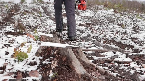 Lumberjack goes to work 스톡 동영상 119068217