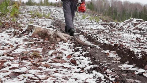 Lumberjack goes to work 스톡 동영상 119068249