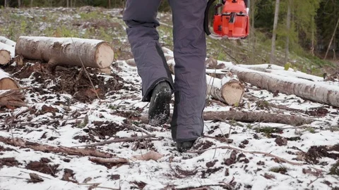 Lumberjack goes to work 스톡 동영상 119068253