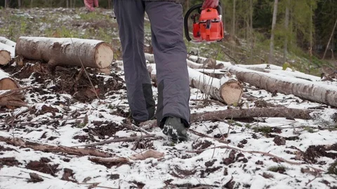 Lumberjack goes to work 스톡 동영상 119263614