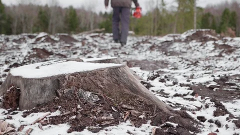 Lumberjack goes to work 스톡 동영상 119263621