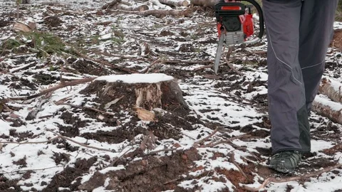 Lumberjack goes to work 스톡 동영상 119263745