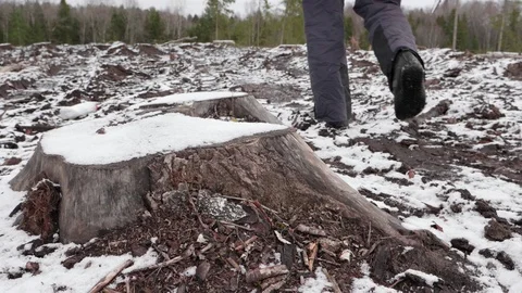 Lumberjack goes to work 스톡 동영상 119263906