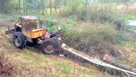 Lumberjack with harvester. Stock Footage 74444756