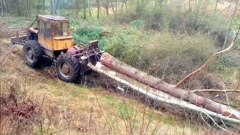 Lumberjack with harvester. 스톡 동영상 74445224