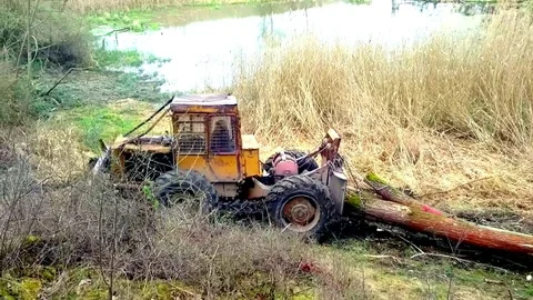 Lumberjack with harvester. Stock Footage 74445829