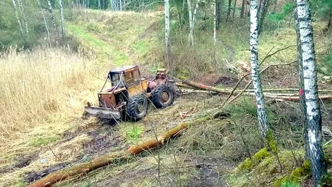 Lumberjack with harvester. Video stock 74445845